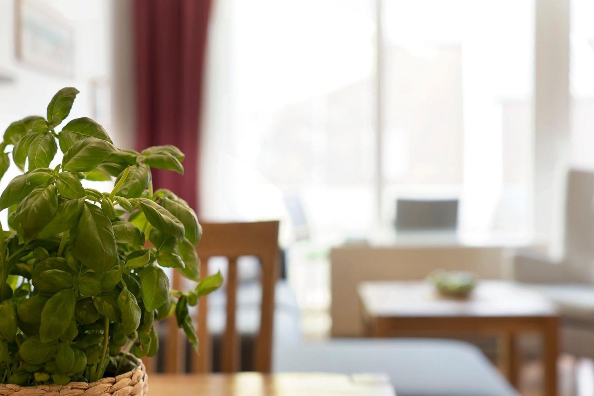 An Der Aue 4A Albrecht Apartment Даме Екстериор снимка